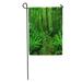 LADDKE Green Jungle Lush Rainforest Path Forest Rain Zealand Tropical Landscape Garden Flag Decorative Flag House Banner 12x18 inch
