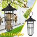 JinYiQing Bird Feeder Outdoor Hanging Metal Wire Wild Bird Feeder Fat Ball Food Feeder Bird Feeder Outdoor Hanging Wire Steel Metal Fat Ball Feeder for Wild Birds(multicolor)