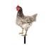 ionze Kitchen Accessories Poultry Decoration Hen Card Decoration Courtyard Decoration Farmhouse Pathway Lawn Decoration Gardening Decoration Kitchen Supplies