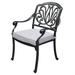 Savanna Patio Outdoor Aluminum Dining Armchair (Set of 2) - Silver