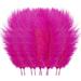 Pedty 10 Feathers 10 Pcs Multicolor Plumage for Wedding Party Centerpieces Flower Arrangement Home Decoration Diy Big Floating Plume Hair Craft Decoration Wedding Plumage