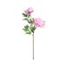 Jhomerit Fake Flowers Vintage Artificial Peony Silk Flowers 2 Bouquets Artificial Peonies Fake Peony Flowers Peony Branches for Wedding Party Decoration Table Centerpieces Floral Arrangements (D)