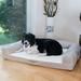 Armarkat D07B Medium Bolstered Pet Bed Cushion w/ Memory Foam, Ivory & Beige Polyester in Brown/White | 8 H x 35 W x 28 D in | Wayfair