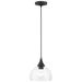 1 Light Black Glass Pendant with Brushed Nickel Finish Accents