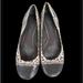 Coach Shoes | Coach Sequin Animal Print Ballet Flats 8.5 Silver Cream | Color: Gray/Silver | Size: 8.5