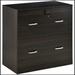 Latitude Run® Vinsetto 2-Drawer File Cabinet w/ Lock & Keys, Vertical Storage Filing Cabinet | 28.25 H x 29.25 W x 16.5 D in | Wayfair