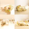 Folding Cat Tunnel S Shape Spring Type Cat Tunnel Toy with Plush Mouse and Feathers Spiral Tunnel