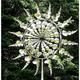 Kinetische Skulptur Windmühle Metall Einzigartige magische Windmühle mit Garten mit