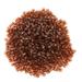 1000pcs Pack Beekeeping Queen Cell Brown Plastic Bee Feeding Tools Plastic Breeding Cup King Table Brown King Breeding Table for Beekeepers