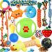 20 PCS Dog Toys Puppy Chew Toys For Fun And Teeth Cleaning Dog Squeak Toys Treat Dispenser Ball Tug Of War Toys Puppy Teething Toys Dog Rope Toys Pack For Medium To Small Dogs