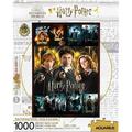 AQUARIUS Harry Potter Puzzle Movie Posters Collage (1000 Piece Jigsaw Puzzle) - Glare Free - Precision Fit - Officially Licensed HP Merchandise & Collectibles - 20x28 in