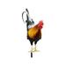 Rooster Decor (2D) Acrylic Yard Chicken Decorations Outdoor Garden Statues Chicken Ornaments Yard Art for Backyard Lawn Pathway Garden Lawn (Not 3D)