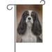 Hidove Garden Flag Dog Cavalier King Spaniel Double-Sided Printed Garden House Sports Flag - 12x18(in) - Polyester Decorative Flags for Courtyard Garden Flowerpot