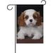 Hidove Garden Flag Cute Puppy Cavalier King Charles Seasonal Holiday Yard House Flag Banner 28 x 40 inches Decorative Flag for Home Indoor Outdoor Decor