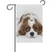 Hidove Garden Flag Cavalier King Charles Spaniel Laying Double-Sided Printed Garden House Sports Flag - 28x40in -Decorative Flags for Courtyard Garden Flowerpot