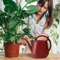 IWRUHZY Plant Watering Can 1 Gallon Long Spout Watering Can Flower Patterns Indoor Watering Can with Comfortable Handle Plastic Watering Can Watering Can Indoor Plant Watering Can for Garden Plants