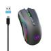 PRETXORVE 2.4GHz Wireless Mouse Gaming Mouse RGB Backlight Wireless Optical USB Gaming Mouse 4800DPI Rechargeable Mute Mice