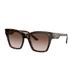 Dolce & Gabbana PRINT FAMILY DG 4384 Dark Havana/Brown Shaded 53/20/145 women Sunglasses