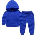 Dezsed Baby Girl Boy Clothes Outfits Clearance Toddler Baby Boys Girls Candy Color Solid Color Leggings Casual Kids Sports Pants Hoodies Set Blue 2-3 Years