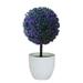 Miayilima Desktop Ornament Artificial Ball Shaped Tree Fake Fresh Green Grass Flower in White Plastic Pot for Home Office Tabletop Decor Centerpiece B