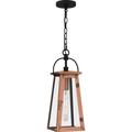 Quoizel Cln1907 Carolina 7 Wide Outdoor Mini Pendant - Copper