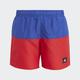 Colorblock Swim Shorts