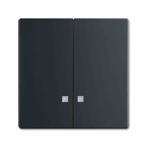 Busch-Jaeger Wippe Serien, Schalter/Taster, schwarz, matt, ohne ISO Aufdruck, Kontrollfenster/Lichtauslass Image