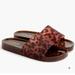 J. Crew Shoes | J.Crew Tortoise Pool Slides | Color: Black/Brown | Size: 8