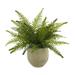 Primrue Outdoor UV Fern in Fiberstone Pot Fiberstone/Polysilk, Fiberglass in Gray | 19 H x 22 W x 22 D in | Wayfair