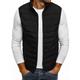 Men's Puffer Vest Gilet Quilted Vest Cardigan Daily Going out Casual Fall Pocket Polyester Plain Zipper Stand Collar Regular Fit Black Red Navy Blue Gray Vest