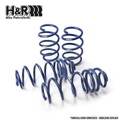 H&r Spezialfedern Fahrwerkssatz, Federn [Hersteller-Nr. 29991-1] für BMW Image