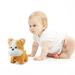 Japceit Fluffys Pillows Plush Toy Cute Dang Dog Plush Toy Cute Bell Dog Doll for Kid A Plush Satin Pillowcase House Needs New Home