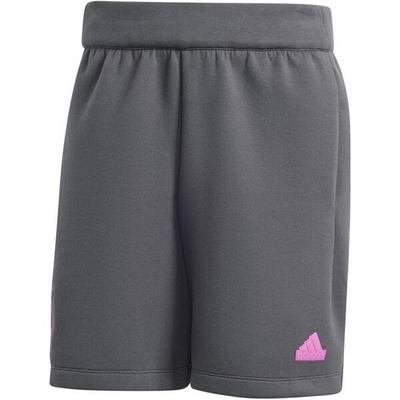 ADIDAS Herren Fanhose DFB Travel, Größe XS in Grau