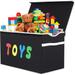 Toy Box Chest, Collapsible Sturdy Storage Bins