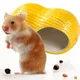 Creative Shape Nuts Peanuts Adorable Ceramic Hamster Cage: Small Pet House & Nest Rat Hamster