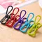 Household Clip Clothes Drying Color Stainless Steel Clothes Small Clip Holder Clothes Drying