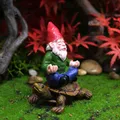 Statue de gnome de jardin peinte à la main décoration de pelouse tortue d'équitation paysage
