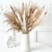 Natural Dried Pampas Grass Decor Pu Reed Bouquet Dried Flowers Decorated Fluffy Pampas Branches with Natural White Reed Vase Filler for Wedding Der Home Bedroom Decoration Beige Mixed B 80Pcs