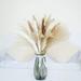 Natural Dried Pampas Grass Decor Pu Reed Bouquet Dried Flowers Decorated Fluffy Pampas Branches with Natural White Reed Vase Filler for Wedding Der Home Bedroom Decoration Beige Mixed C 90Pcs