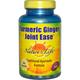 Nature's Life, Turmeric Ginger Joint Ease, 100 Capsules