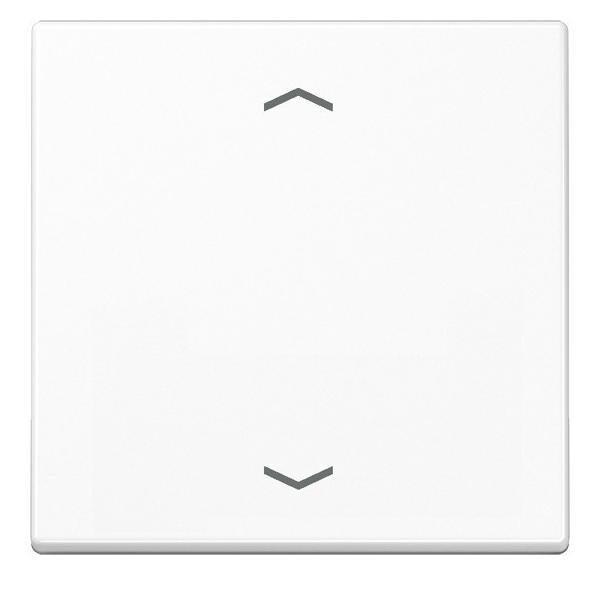 Jung Wippe Symbole aws A 590 P WW A590PWW Image