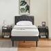 Wade Logan® Auxter Bedroom Set Upholstered/Metal in Black | Twin | Wayfair 3798BAEAE131497F878E16EA8C8C329B