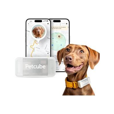 Petcube Dog GPS Tracker & Activity Monitor