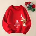 Pitauce Girls Christmas Sweater Soft Warm Sweater Toddlers Knitted Cute Reindeer Pullover Long Sleeve Ugly Christmas Sweater Holiday Gift Gifts for Baby