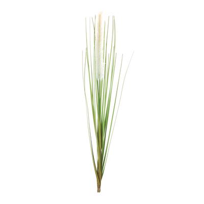 Foxtail Bush (Set Of 12) by Melrose in White