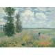 Claude Monet Poppy Fields near Argenteuil Framed Canvas Picture Print Wall Art