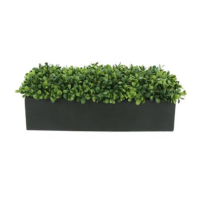 UV Rated Outdoor Boxwoods Arranged in a Rectangula...
