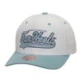 Men's Mitchell & Ness White/Carolina Blue North Carolina Tar Heels Tail Sweep Pro Snapback Hat