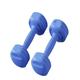 Dumbbells Dumbbells For Men And Women Fitness Home Equipment Yoga Women's Arm Training Rubber-coated Men's Dumbbells Dumbbell Set (Color : Blue, Size : 10KG)