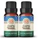 GuruNanda Eucalyptus Essential Oil (Pack of 2X 15 ml) - Pure Therapeutic Grade Eucalyptus Oil for Congestion Relief Perfect for Aromatherapy Calming Stress Diffuser Oil Hair Care & Skin Care Oil